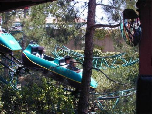 Photo of Timberline Twister