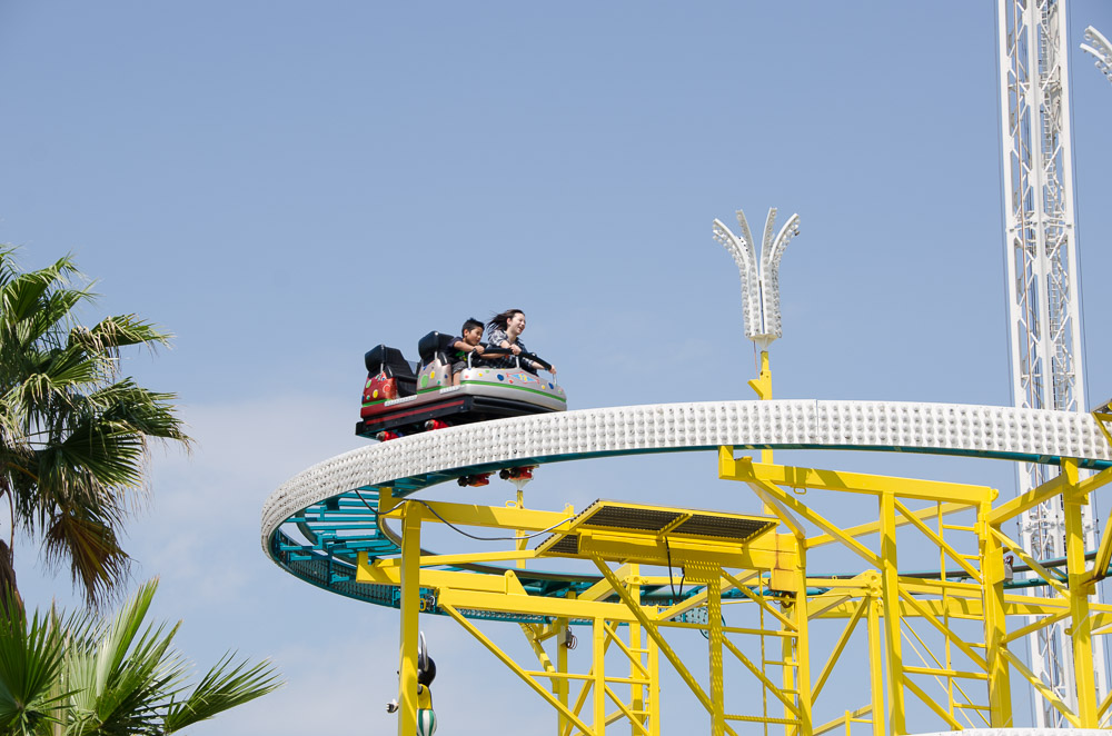Photo of Wild Mouse (Left)