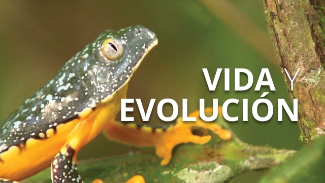Programme 2 - Life and Evolution