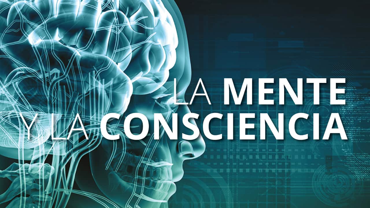Programme 3 - Mind and Consciousness