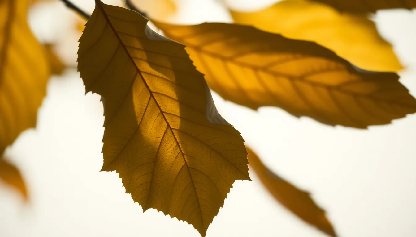 Dynamic Leaves in Motion Abstract