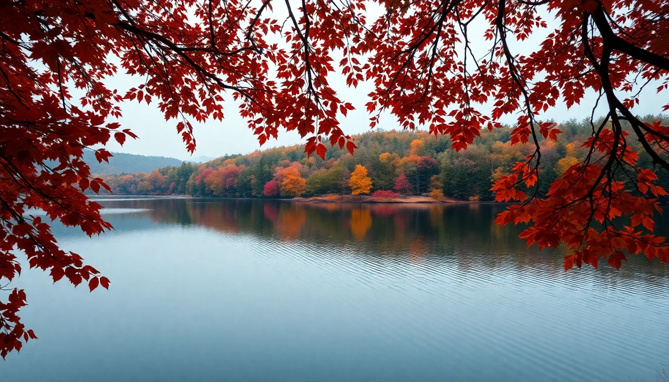 Autumn Foliage Reflection Over Tranquil Lake