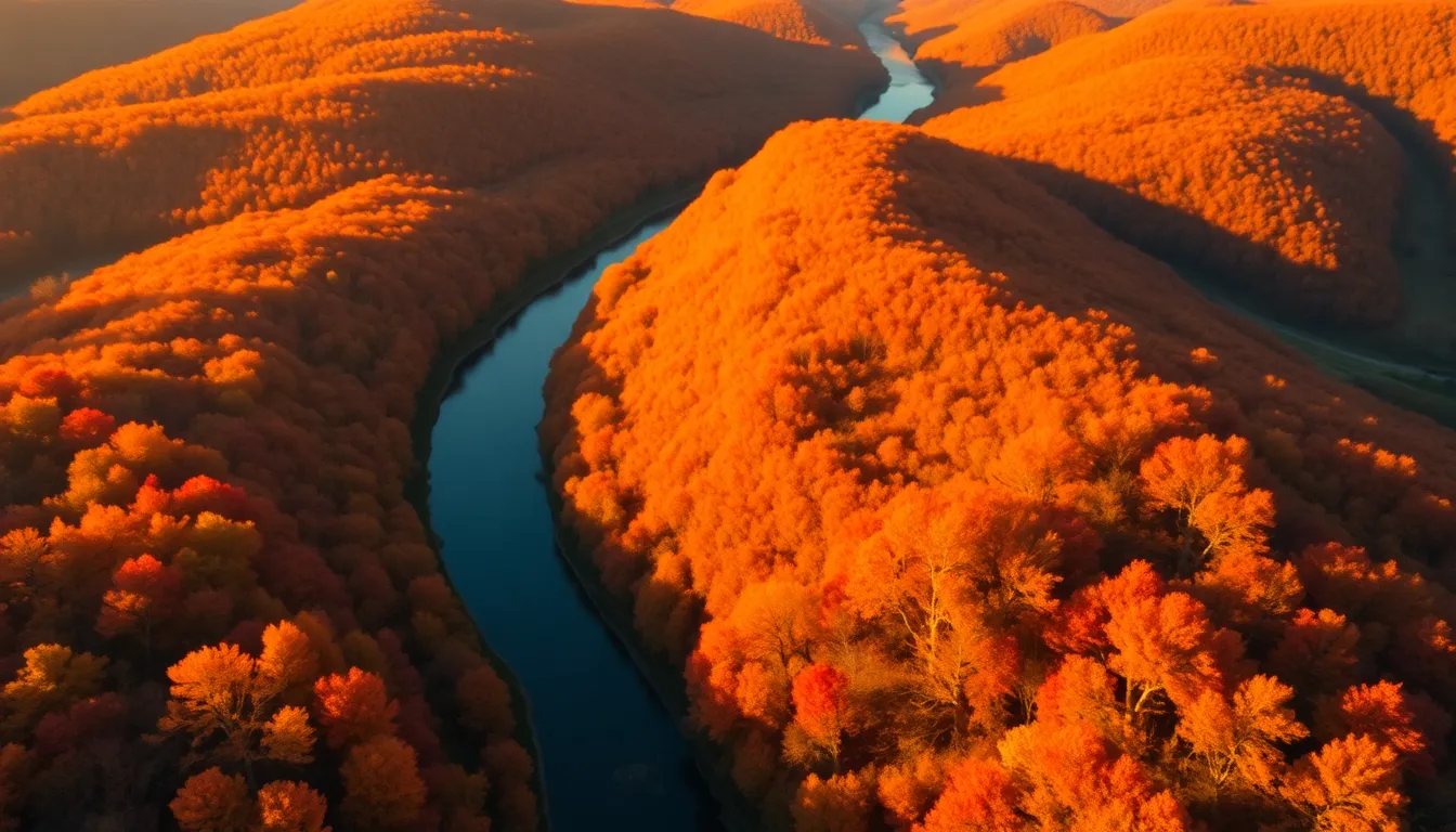 Aerial View of Autumn Landscape