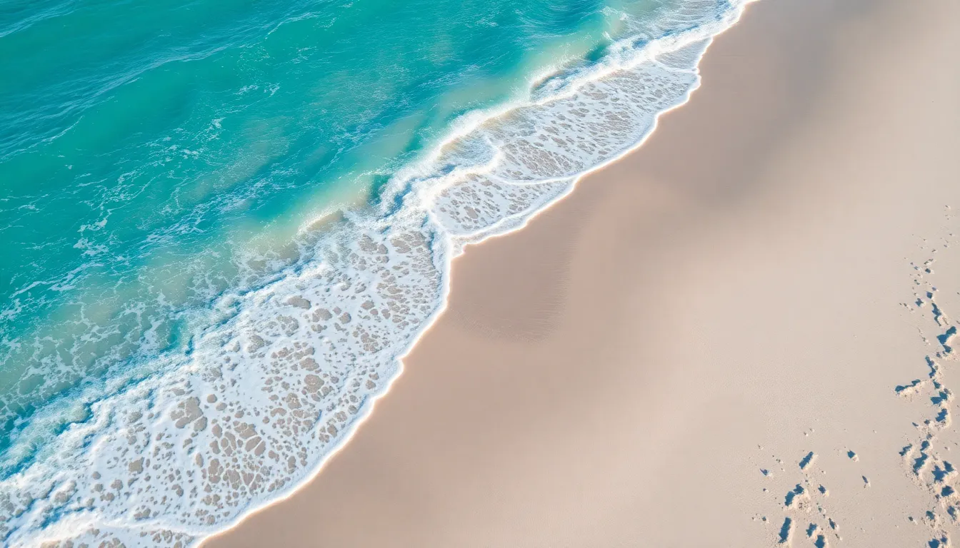 Serene Aerial Beach View