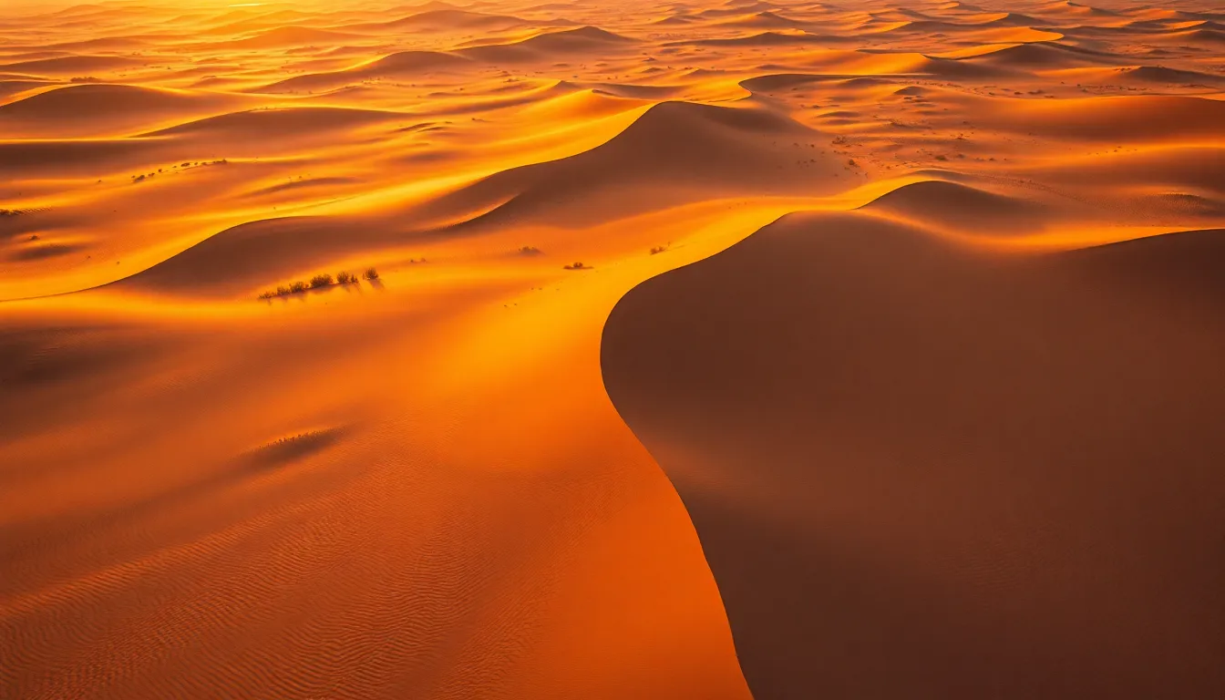 Intricate Desert Dunes at Sunset