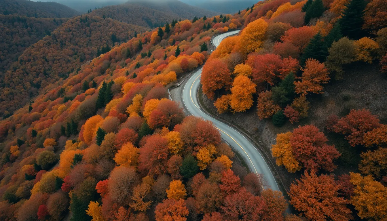 Winding Mountain Road in Autumn
