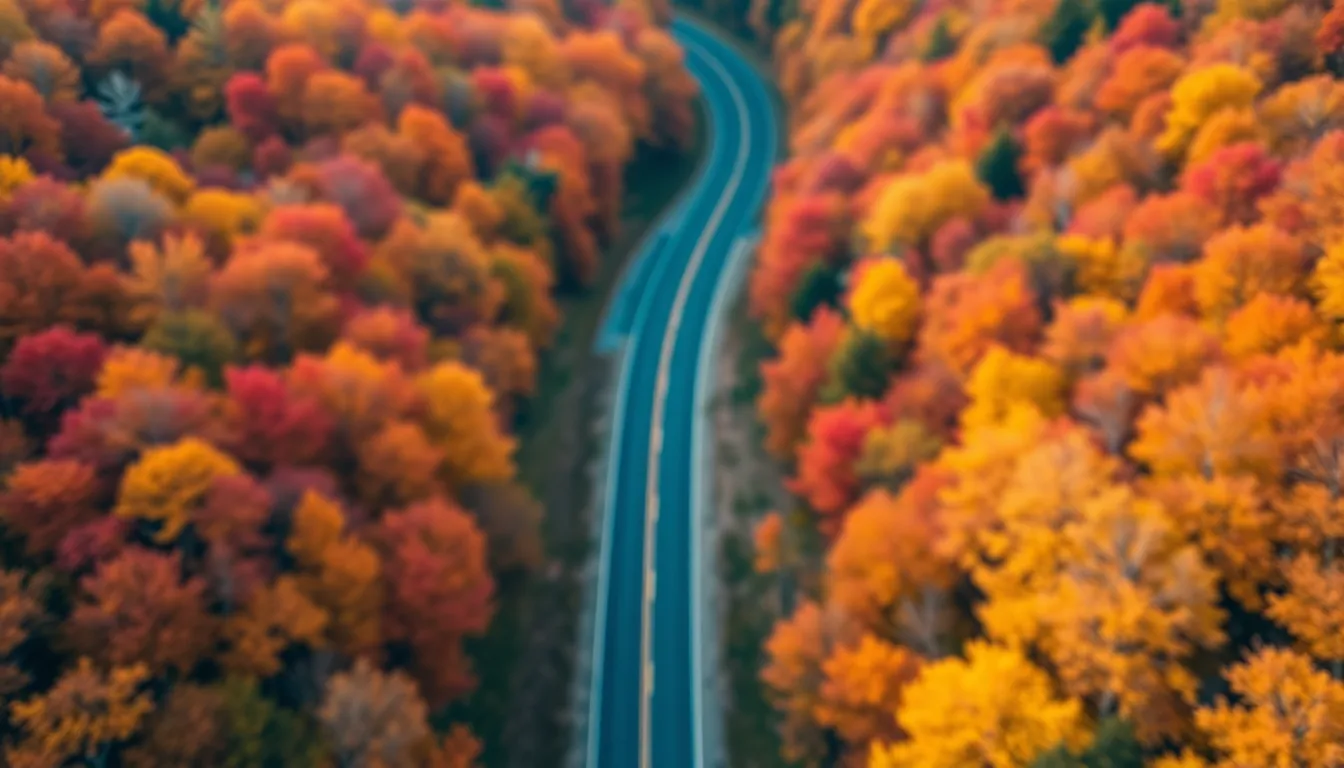 Winding Road Through Autumn Forests Aerial View
