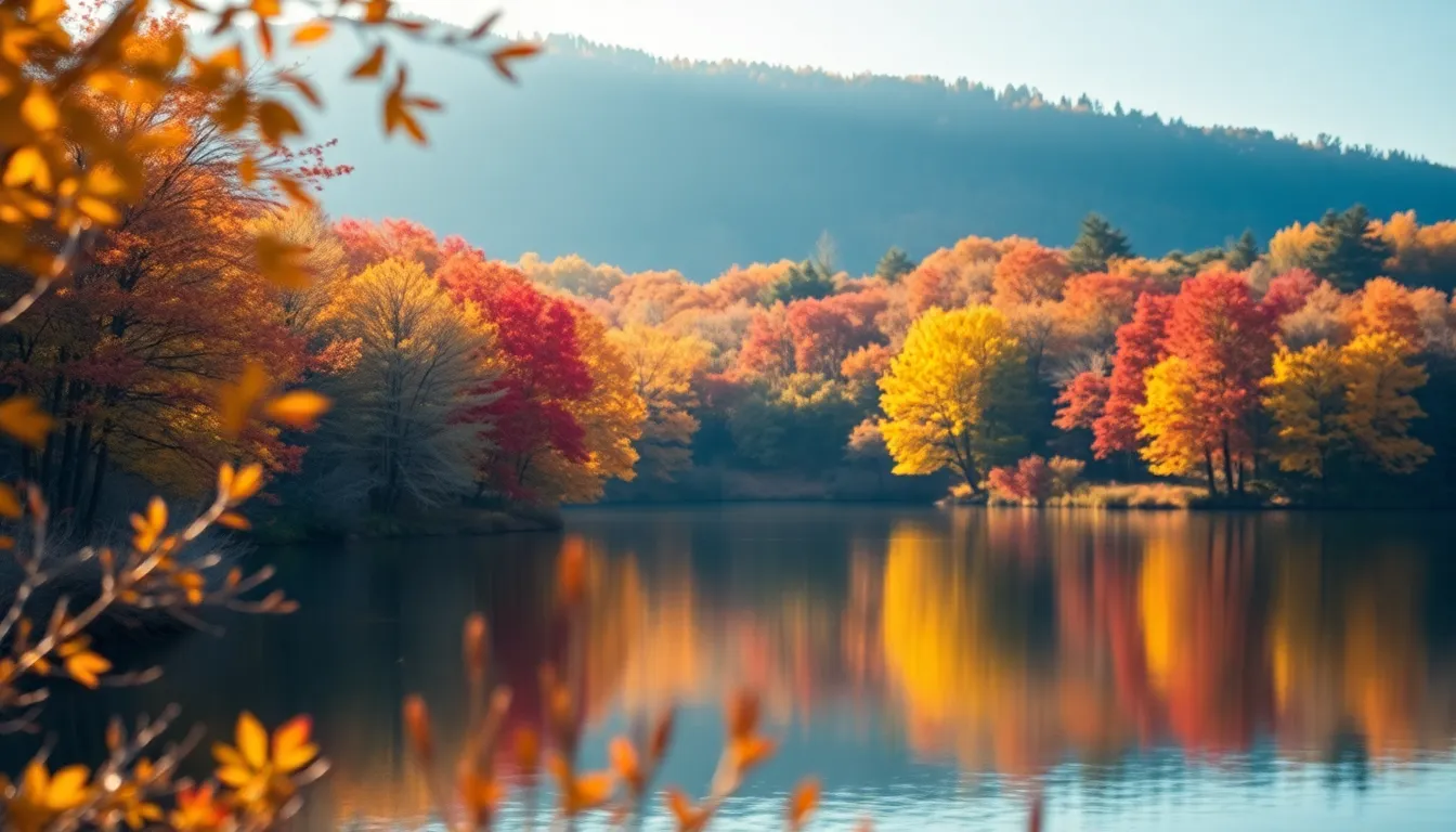 Tranquil Aerial View of an Autumn Lake