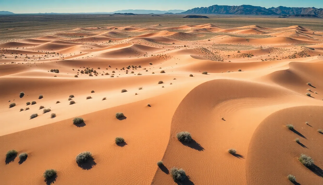 Vast Aerial View of Desert Landscape
