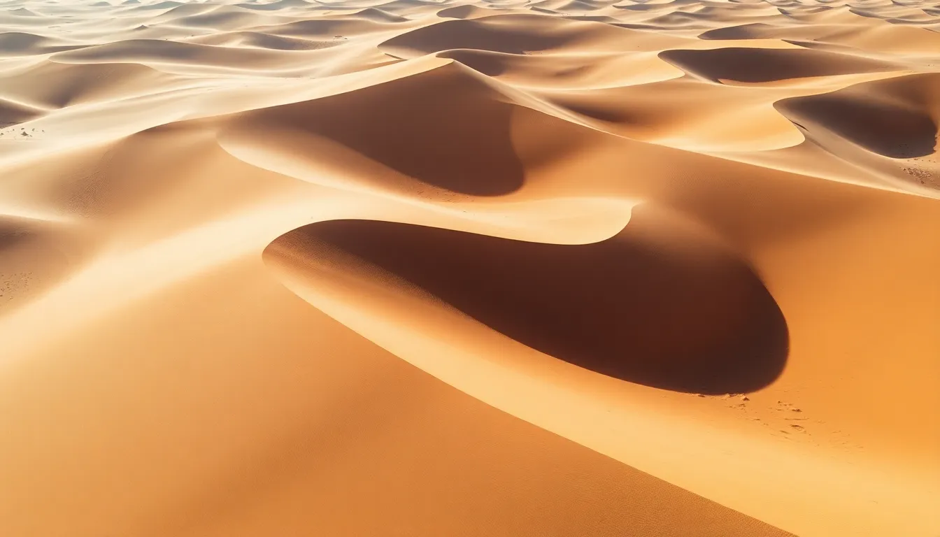 Vast Desert Landscape Aerial Shot