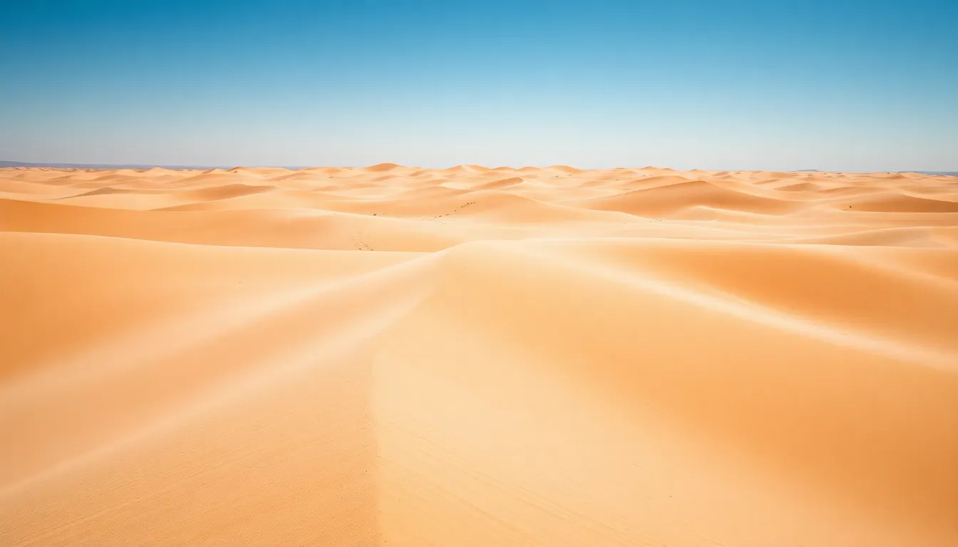 Expansive Desert Landscape Aerial View