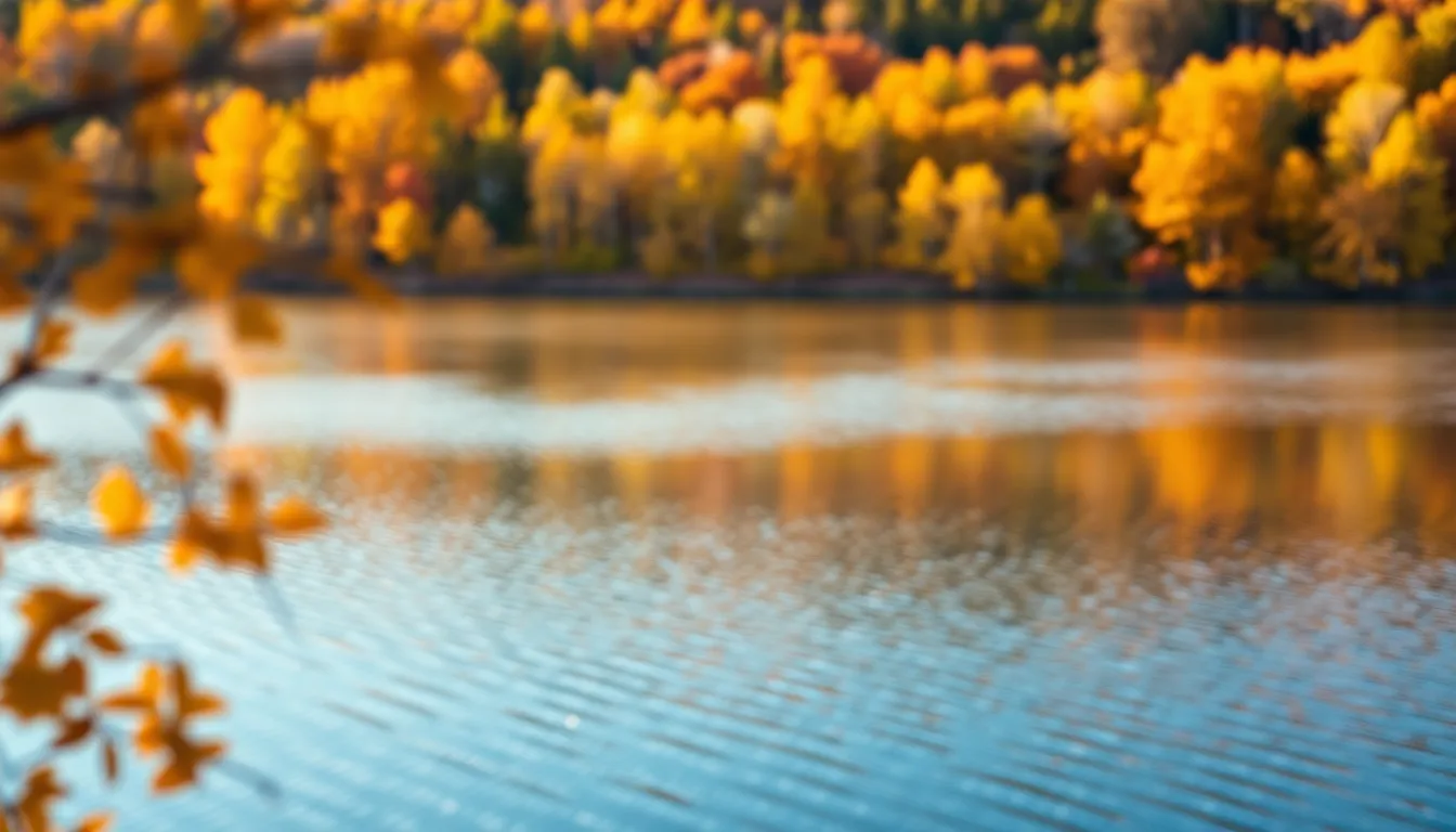 Tranquil Aerial View of Autumn Lake