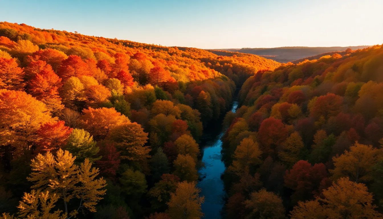Vibrant Aerial Coral Reef Landscape