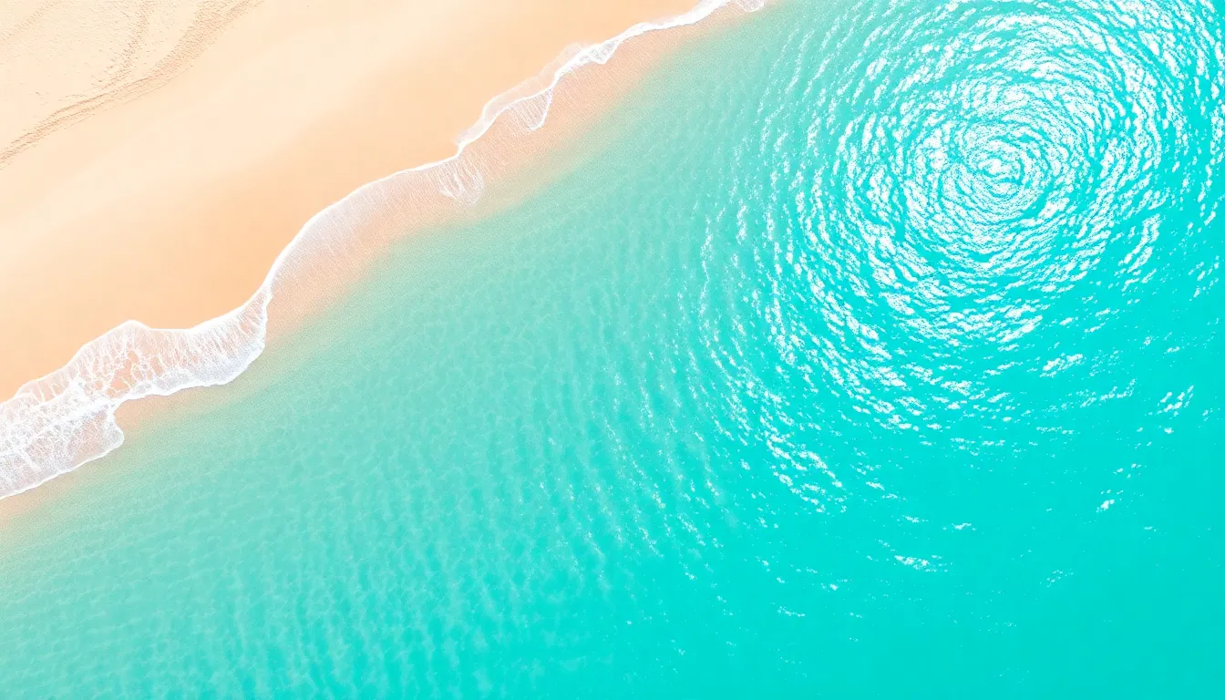 Aerial View of Pristine Tropical Beach