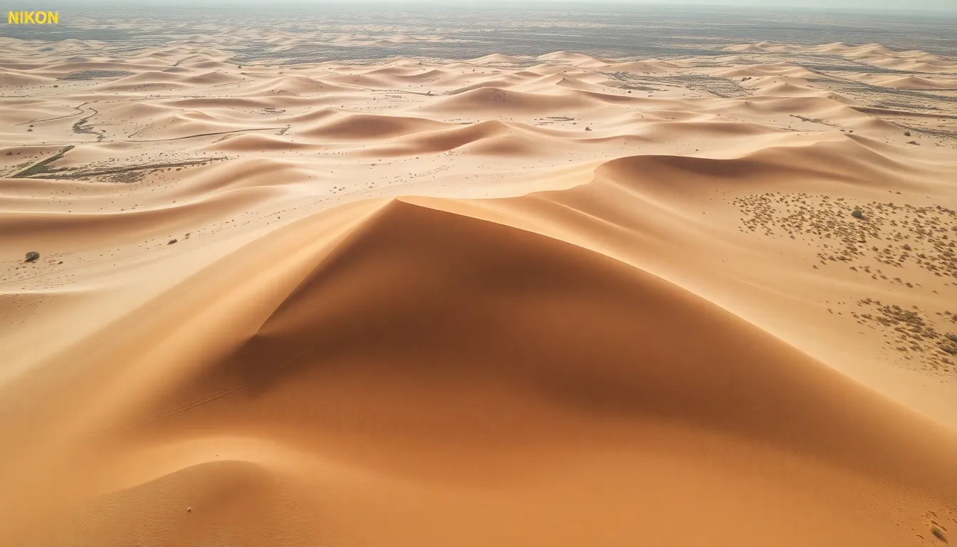 Expansive Desert Landscape with Sand Dunes