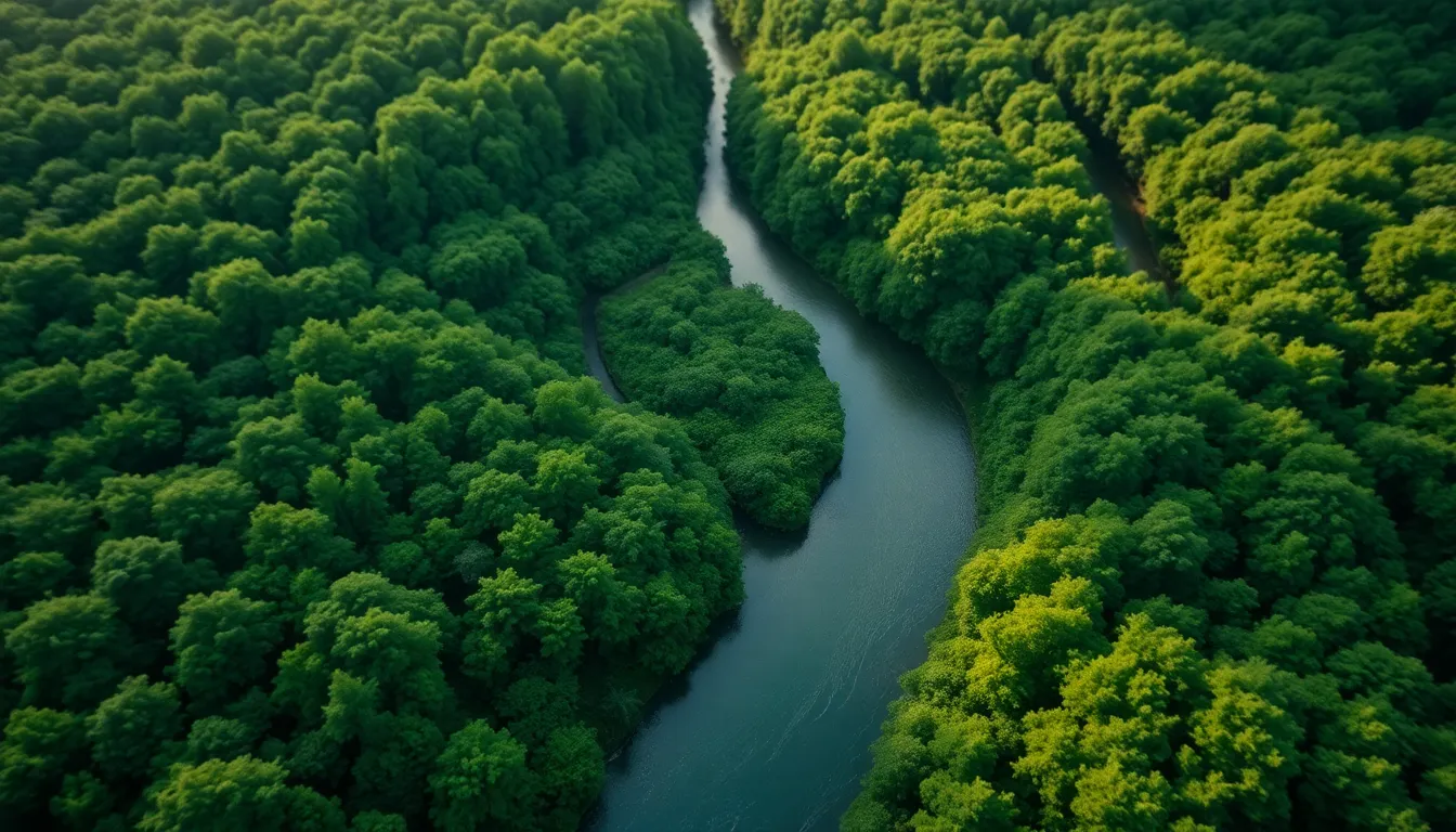 Dramatic Coastline with Crashing Waves