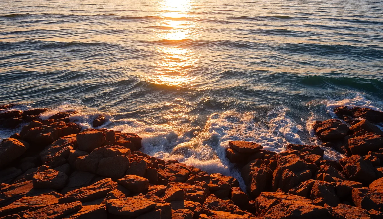 Winding River Through Lush Forest Aerial