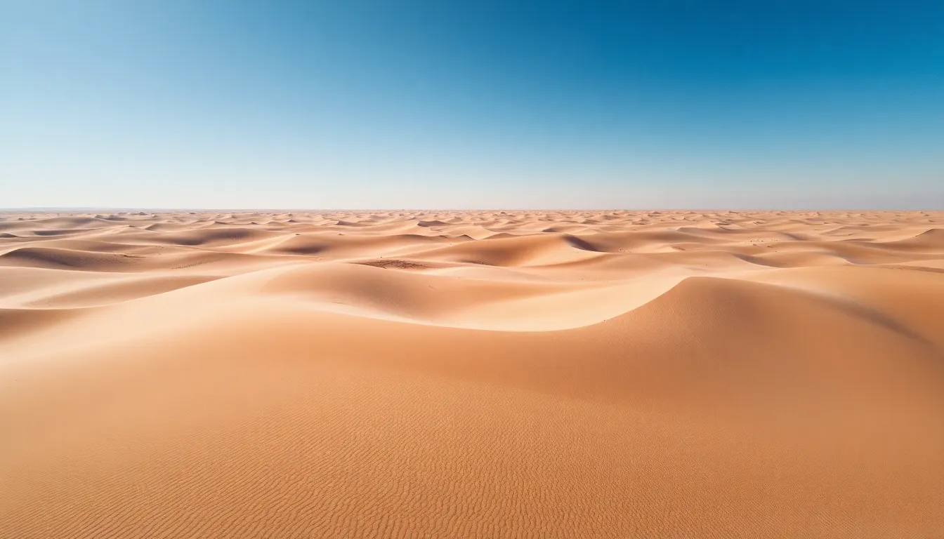 Stark Beauty of Desert Dunes