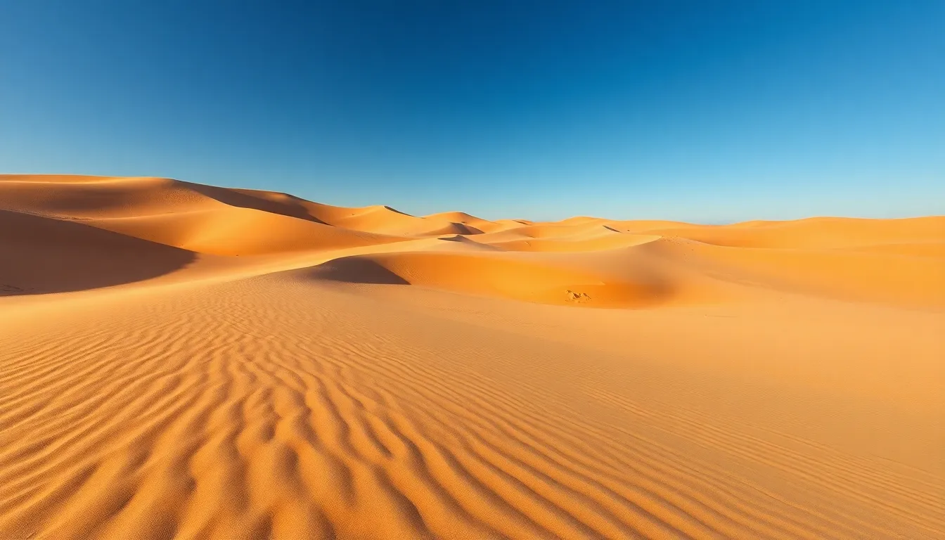 Expansive Arid Desert Landscape with Undulating Dunes