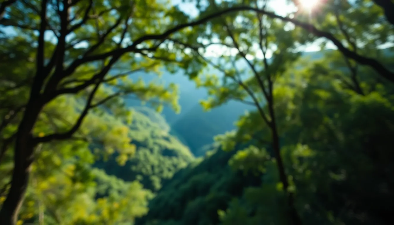 Hidden Valley Revealed by Dappled Sunlight