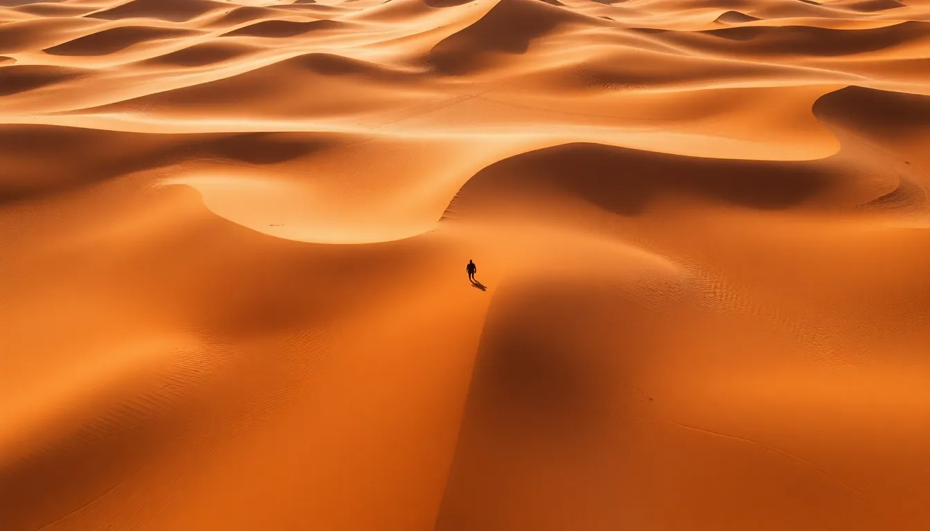 Expansive Aerial View of Desert Dunes