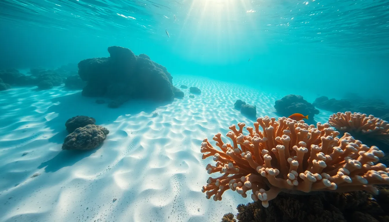 Aerial Capture of Vibrant Coral Reef