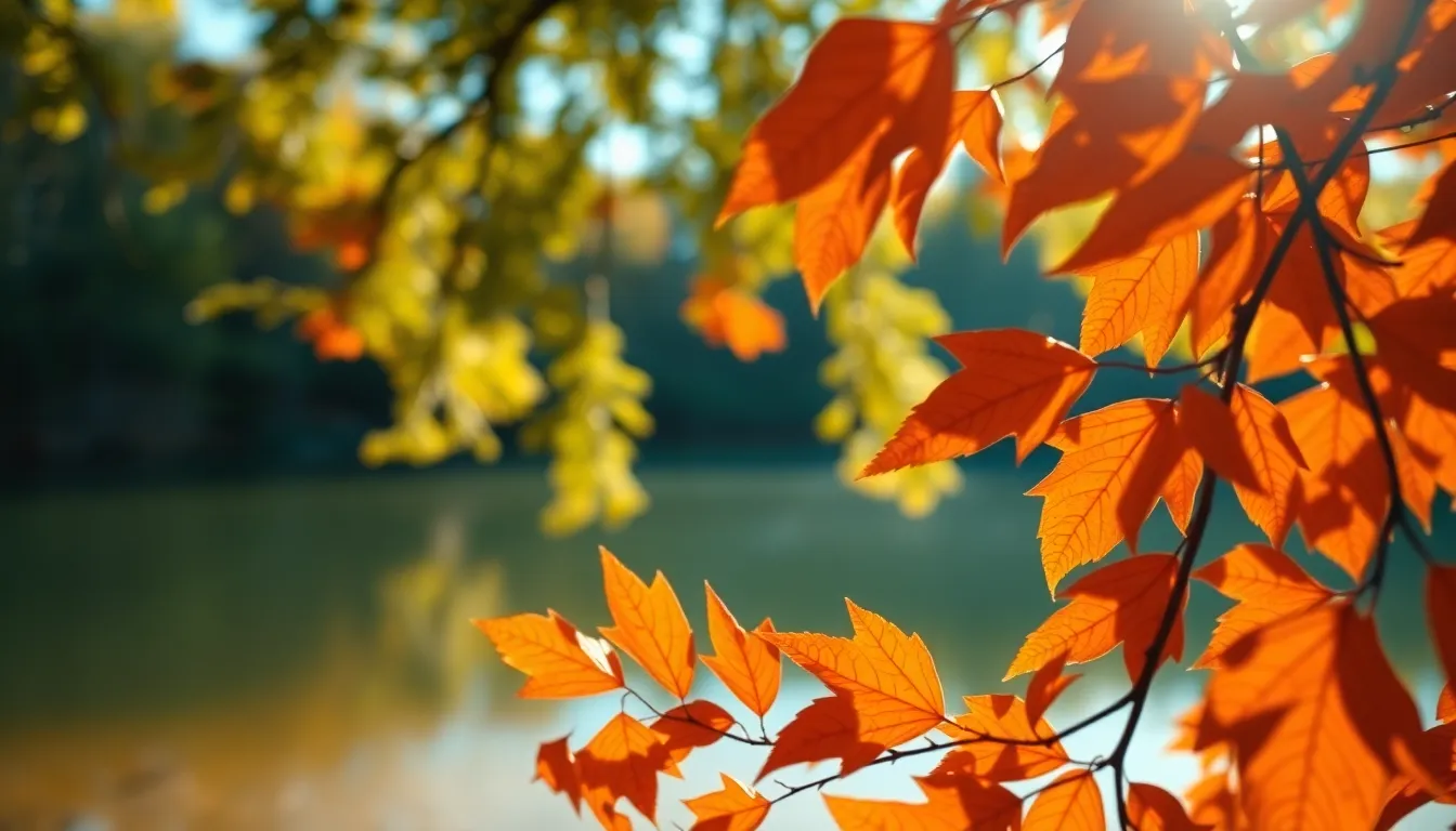 Autumn Lake Reflections Surrounded by Foliage