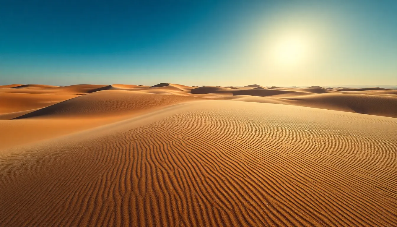 Expansive Aerial Desert Landscape