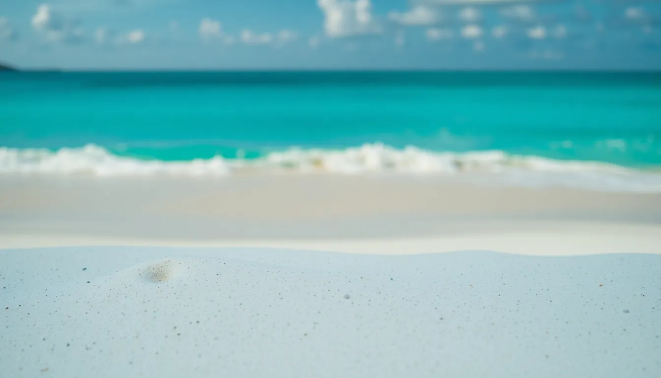 Tropical Beach Aerial View