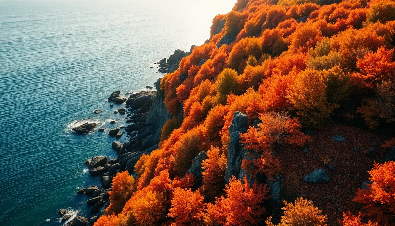 Autumn Coastline with Vibrant Foliage