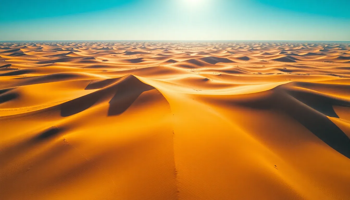 Aerial View of Sprawling Desert Landscape
