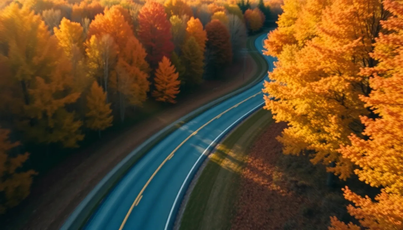 This captivating aerial shot highlights a winding rural road enveloped by vibrant autumn foliage, taken during golden hour. The warm light enhances the rich oranges and soft browns of the leaves, creating a picturesque fall landscape. With a shallow depth of field, the focus draws the viewer's eye along the road, evoking a sense of journey and exploration. The textured leaves reflect the beauty of the season, adding depth to the composition.