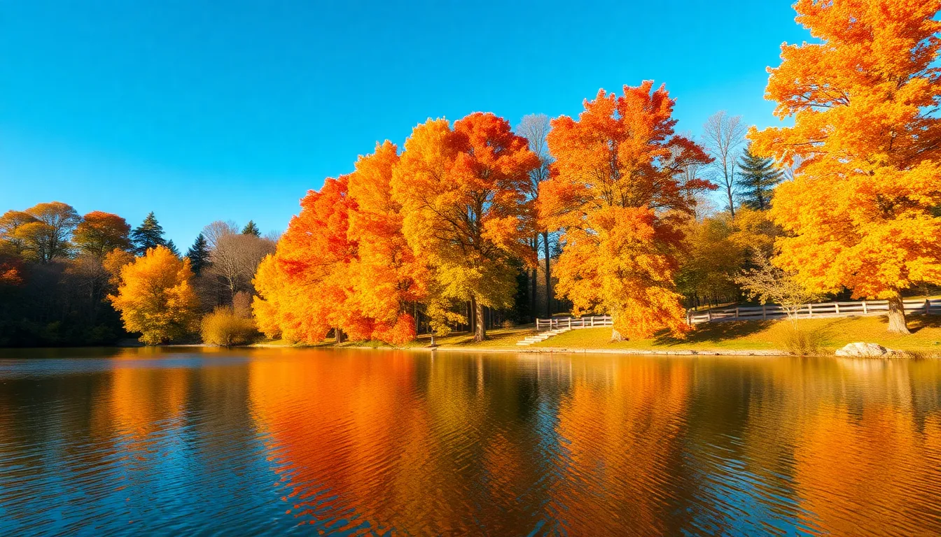 Vibrant Autumn Reflections