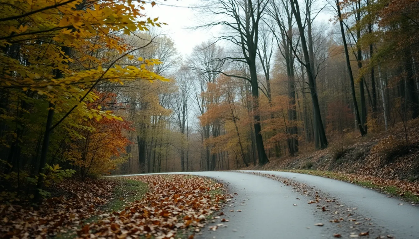 A beautiful hillside is adorned with vibrant autumn foliage, captured under soft overcast daylight. The image showcases a spectrum of natural muted tones that reflect the tranquil essence of the season. With everything in focus, the winding path weaves through the trees, inviting exploration. This picturesque landscape embodies the essence of autumn, with its serene and calming atmosphere.
