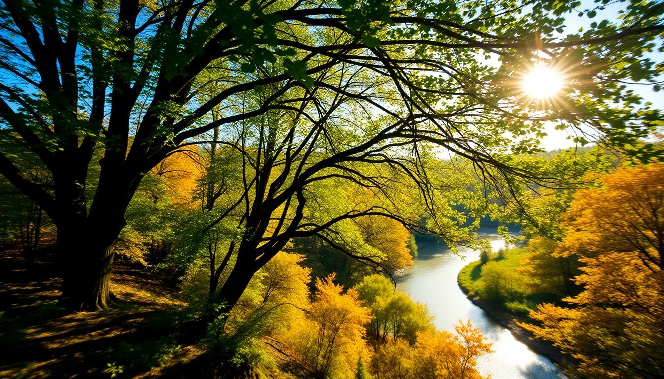 A captivating landscape of a winding river embraced by vibrant autumn trees, their golden leaves reflecting on the water's surface. Dappled sunlight breaks through the canopy, creating intricate patterns of light and shadow. The use of hyperfocal distance ensures that every detail, from the foreground rocks to the distant tree line, is crisp and clear. The rich, saturated colors evoke a sense of tranquility and showcase the breathtaking beauty of the autumn season.