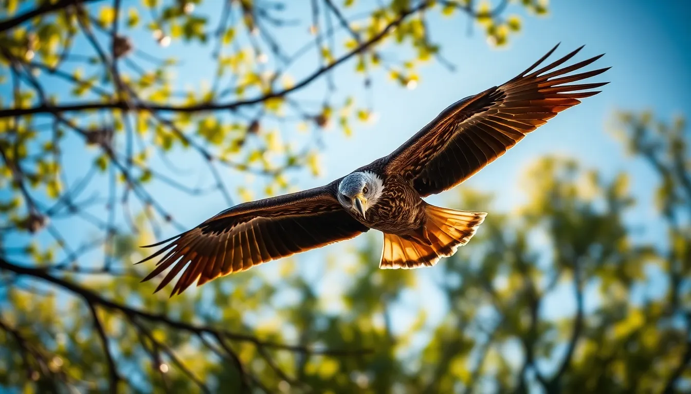 An awe-inspiring image of an eagle soaring high in a bright blue sky, captured amidst dappled sunlight filtering through the leaves of a tree canopy. The rich blues and earthy greens create a striking contrast as the eagle's fierce expression and expansive wingspan come into focus. Leading lines from the branches naturally guide the viewer's gaze toward the soaring bird, highlighting the grandeur of wildlife in its natural habitat. This shot conveys a sense of freedom and elegance.