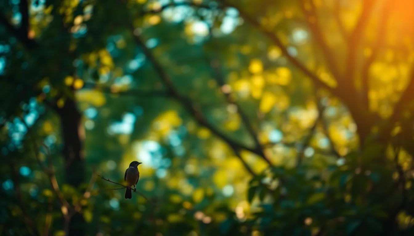 A stunning bird perches gracefully amidst dappled sunlight filtering through a lush tree canopy. The vibrant teal and orange color grading enhances the overall warmth, while the shallow depth of field creates a soft, painterly effect that draws focus to the bird. The blurred foliage in the background frames the subject beautifully, evoking a serene and enchanting atmosphere in this natural setting.