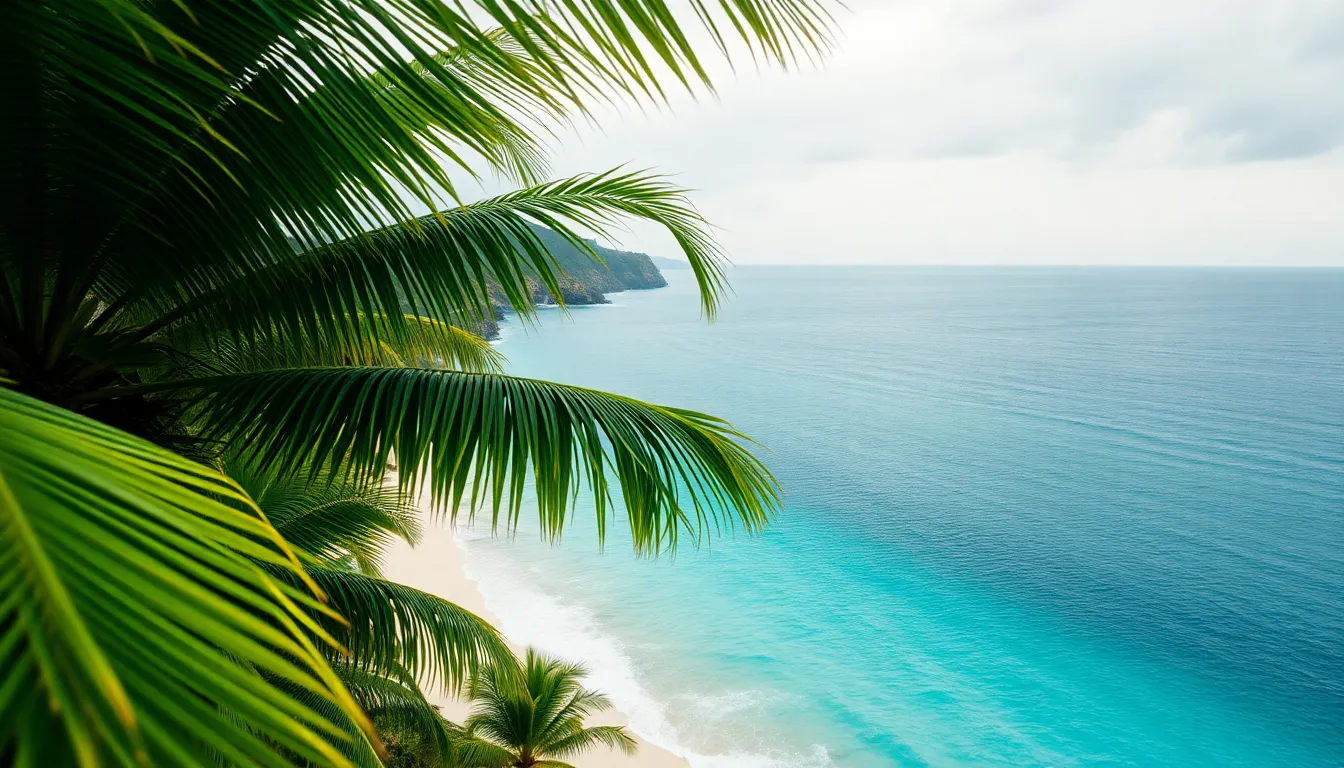 Tropical Paradise Aerial View