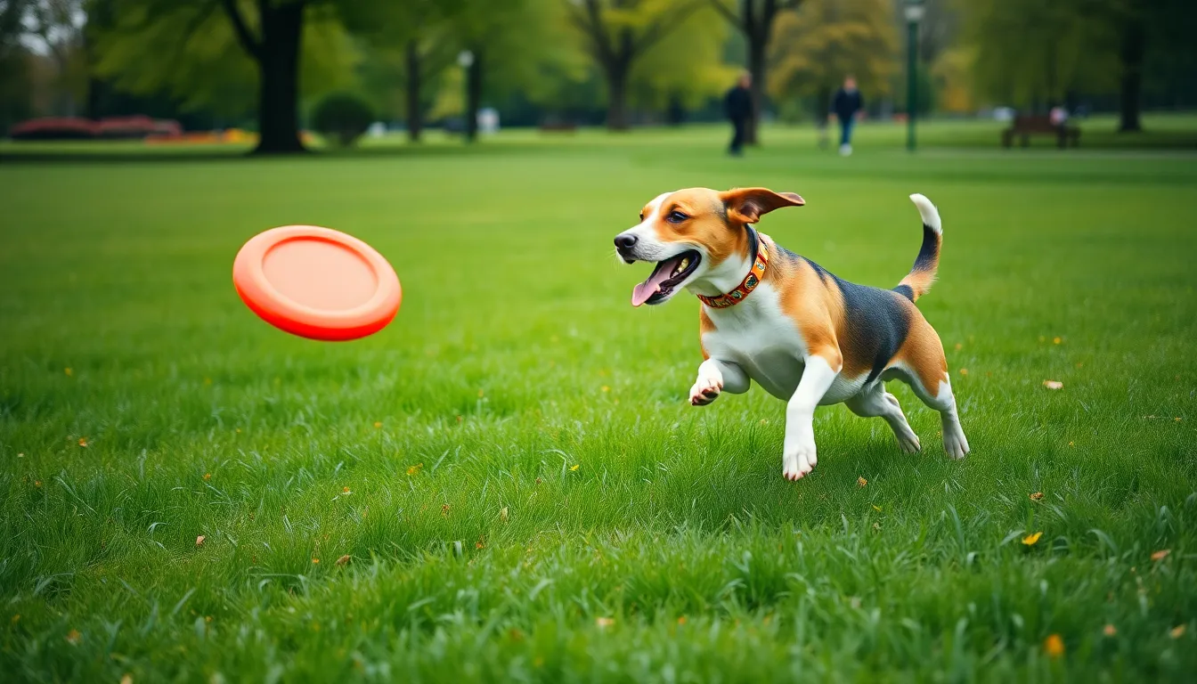 A playful Beagle leaps joyfully through a vibrant green park, chasing after a frisbee. The overcast sky creates a soft light that beautifully showcases the dog's energetic movement and the bright colors of its collar. The sharp focus captures both the Beagle and the lush surroundings, emphasizing the lively atmosphere of outdoor play. This moment encapsulates the joy of recreation and the bond between dogs and nature.