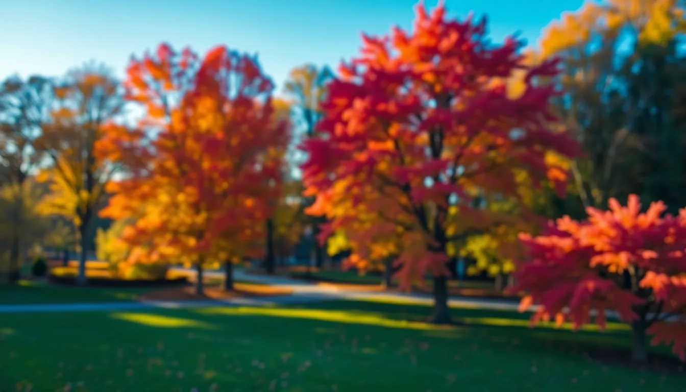 Aerial View of Autumn City Park