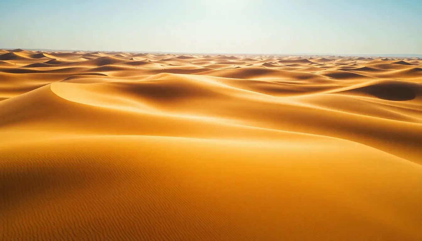 An aerial view captures the breathtaking expanse of golden sand dunes under the intensity of midday sunlight. The strong contrasts and shadows create a dynamic landscape, with sweeping patterns inviting exploration. Shallow depth of field adds a soft focus to the foreground, while the background reveals the vastness of the dunes. The warm color palette enhances the desert's natural beauty, making this image a stunning representation of arid landscapes.