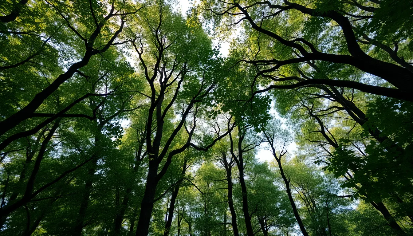 This captivating aerial shot of a dense forest captures the vibrant green canopy illuminated by soft daylight filtering through. The composition emphasizes the vastness of the trees, framed by negative space that enhances the tranquil atmosphere. With meticulous detail, the textures of tree bark and leaves come alive in the image, showcasing nature's intricate beauty. A natural color palette of muted earth tones and rich greens adds to the serene mood.