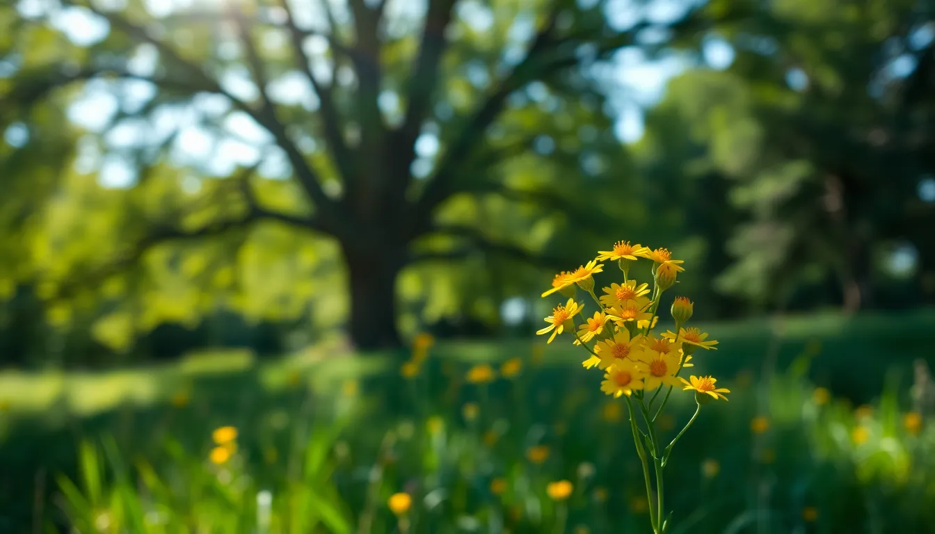 In this enchanting scene, a cluster of wildflowers emerges through lush green foliage, illuminated by dappled sunlight filtering through the tree canopy above. The shallow depth of field beautifully blurs the surrounding greenery while keeping the delicate textures of the flowers in crisp focus. With a composition grounded in the rule of thirds, this image captures the essence of tranquility and natural beauty, evoking the peace of a sunlit forest.