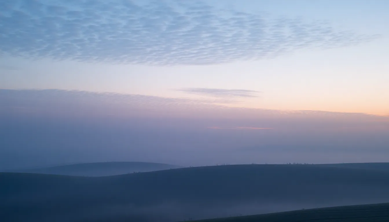 Teal to Gray Sunlit Gradient This tranquil image illustrates a serene gradient transitioning from soft teal to muted gray, beautifully illuminated by dappled sunlight. The hyperfocal sharpness captures the intricate textures of the foliage, evoking a peaceful mood. With leading lines guiding the viewer's eye, this composition is ideal for nature-themed projects.
