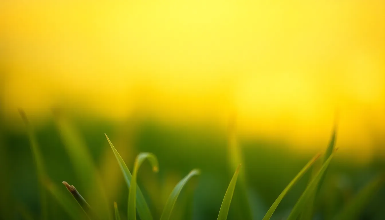 Delicate Yellow to Green Gradient This enchanting image highlights a soft gradient transitioning from pale yellow to gentle green, beautifully lit by golden hour light. The textures are accentuated with a creamy bokeh background, evoking a fresh and organic ambiance. The composition artfully frames the gradient, making it ideal for nature-themed projects.