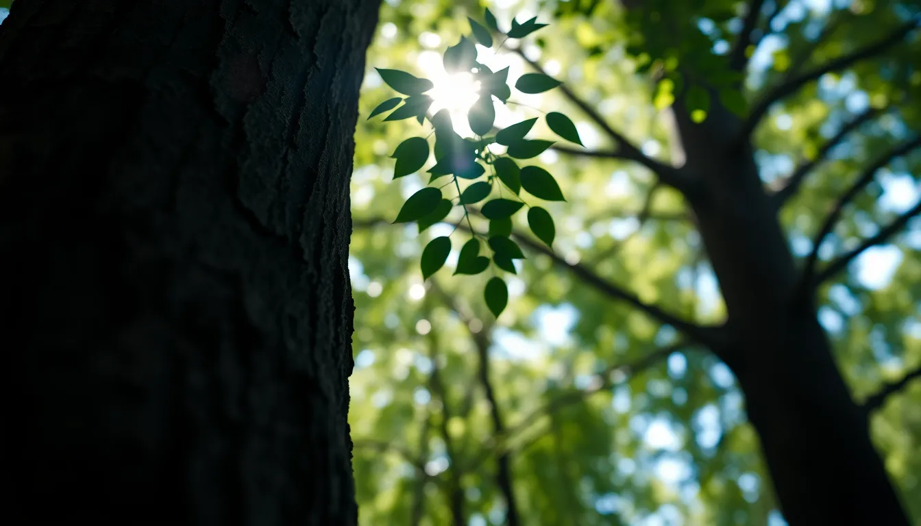 This image captures a stunning gradient of green and blue hues filtered through a sunlit tree canopy. The composition employs the rule of thirds to draw the viewer's eye across the vibrant colors, creating a serene and uplifting mood. The soft, dappled sunlight enhances the saturated colors, while the bokeh effect adds depth and richness to the scene. Textures of the weathered bark and leaves are rendered in exquisite detail, bringing the natural environment to life.