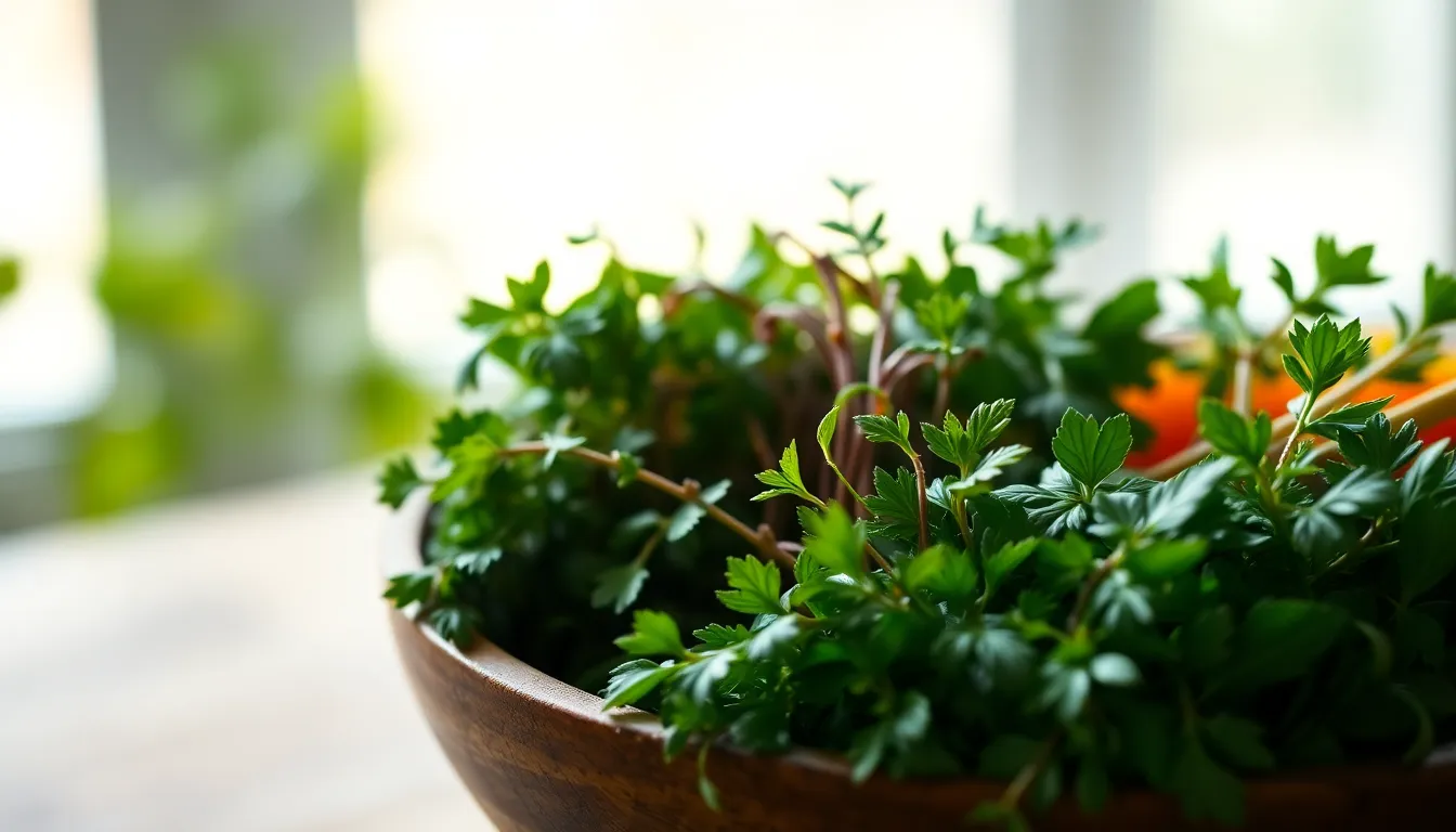 Fresh Herbs in Rustic Bowl This image showcases a close-up of fresh herbs artfully arranged in a rustic wooden bowl. Bathed in soft, diffused daylight, the colors are vibrant and inviting, with lush greens contrasted by the earthy tones of the wood. The shallow depth of field draws the viewer's eye to the intricate details of the herbs while blurring the background into a soothing bokeh. This photorealistic portrayal captures the essence of freshness, making it perfect for culinary applications.