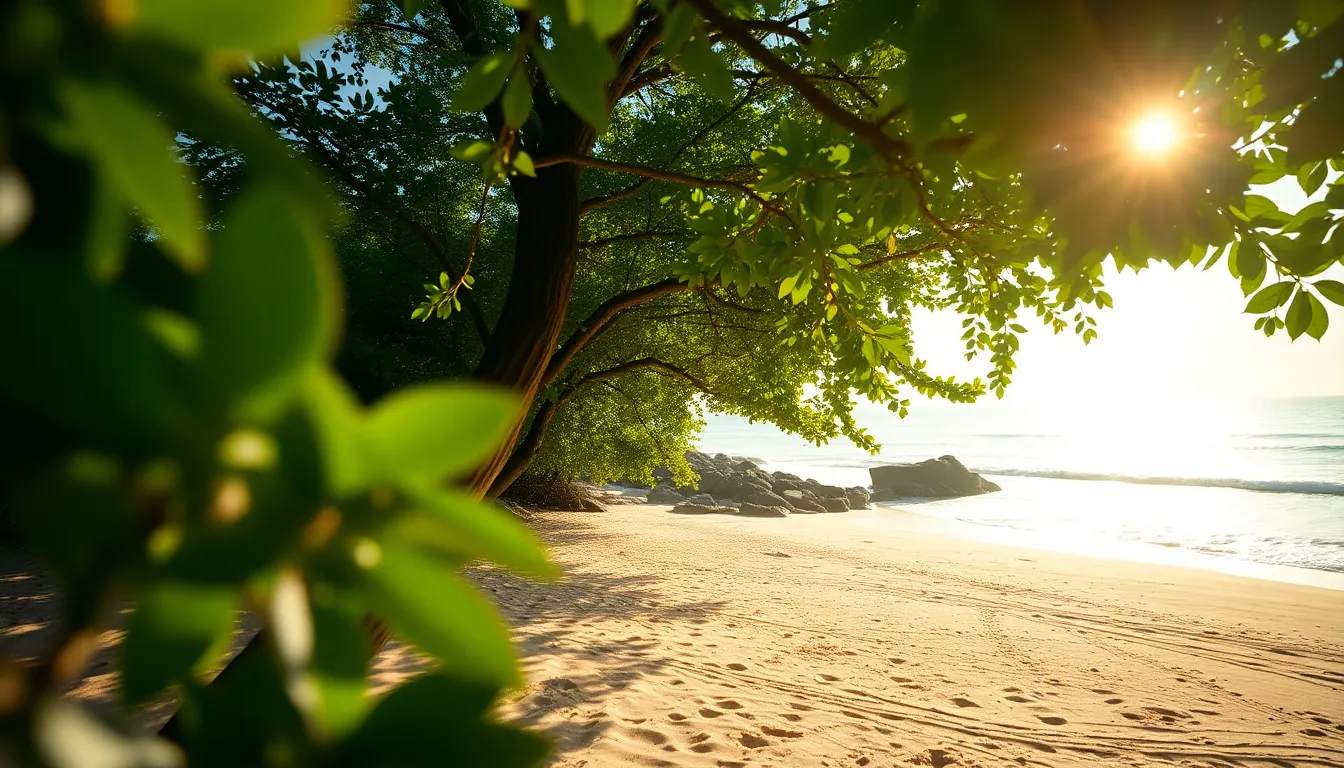 This captivating image reveals a secluded island beach viewed through a lush tree canopy. Dappled sunlight creates a magical atmosphere, illuminating the vibrant greens of the leaves and the golden hues of the sand. The shallow depth of field adds to the dreaminess, with soft bokeh enhancing the sense of tranquility. This composition invites viewers to imagine themselves in this peaceful paradise, ideal for travel and nature enthusiasts.