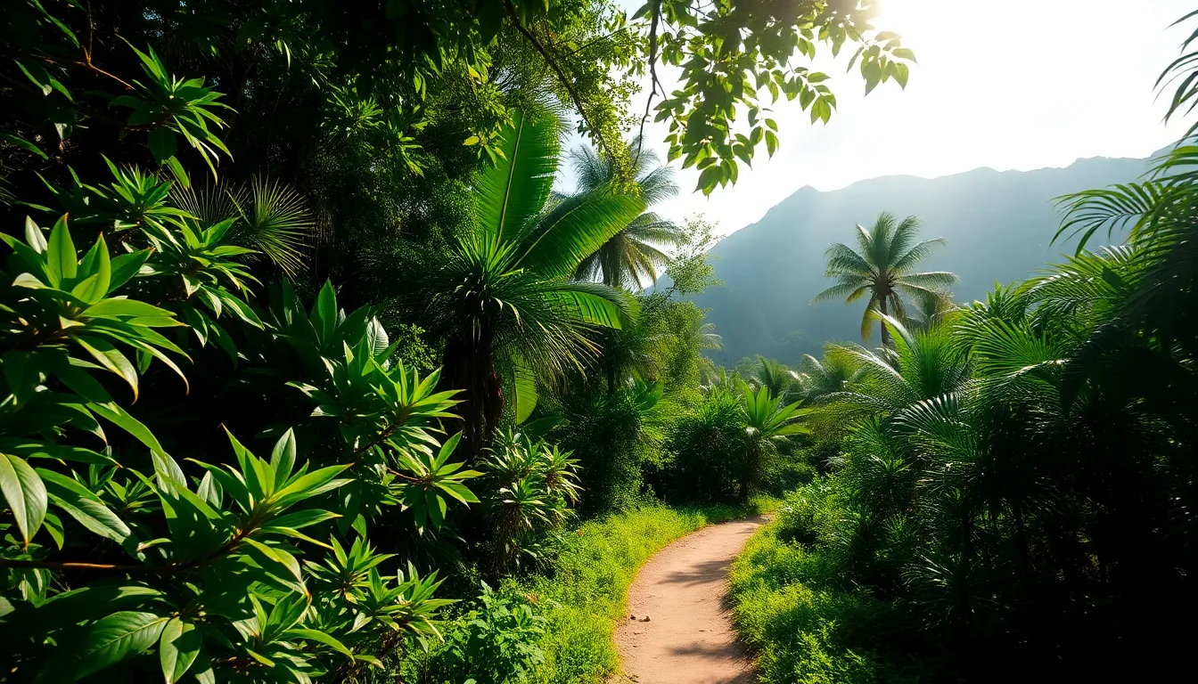 A captivating view of a hidden trail through a vibrant jungle, illuminated by dappled sunlight. The lush greenery and diverse plant life create a symphony of colors, inviting the viewer to explore this serene setting. The sharp focus throughout the scene emphasizes the beauty and intricacy of the natural environment, making it a perfect escape into the wild.