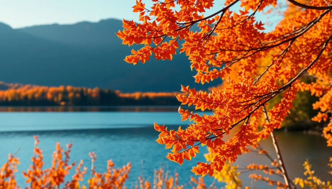 Golden Hour Serenity at the Lake Dock A picturesque scene capturing a small boat gently bobbing on the serene lake during golden hour. The warm backlighting enhances the tranquil atmosphere, while the floating wooden dock creates leading lines, guiding the viewer's gaze toward the horizon. The tilt-shift effect adds a unique perspective, making this idyllic scene feel like a miniature model. This image embodies the peace and beauty of nature at day's end.